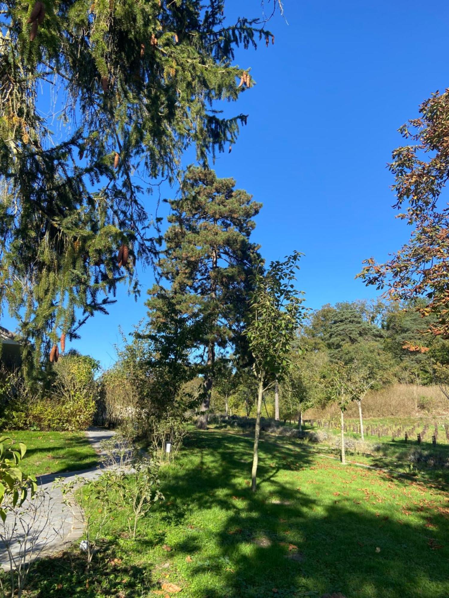 Chateau De Fere Kültér fotó